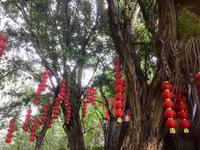 Berg Ming Shan
