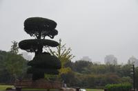 Blick auf Shanghai