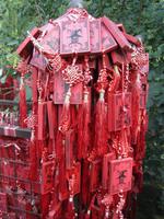 China 2014 0079