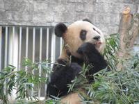 China 2014 0217