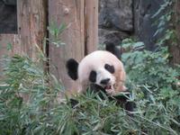 China 2014 0218