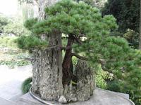 China 2014 0224