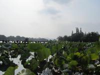 China 2014 0225