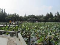 China 2014 0231