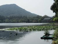 China 2014 0239