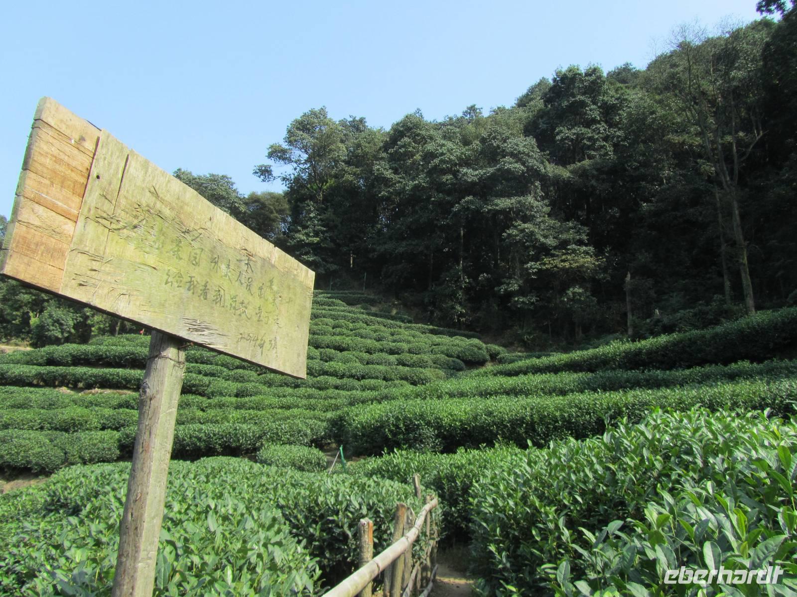 China 2014 0257