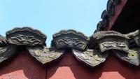 Drachenbrunnentee-Plantage