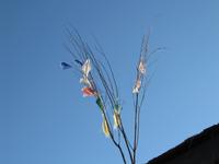 Gebetsfahnen