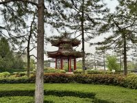 Große Wildganspagode, Xi'an