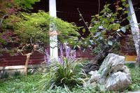 In der Teeplantage  (8)