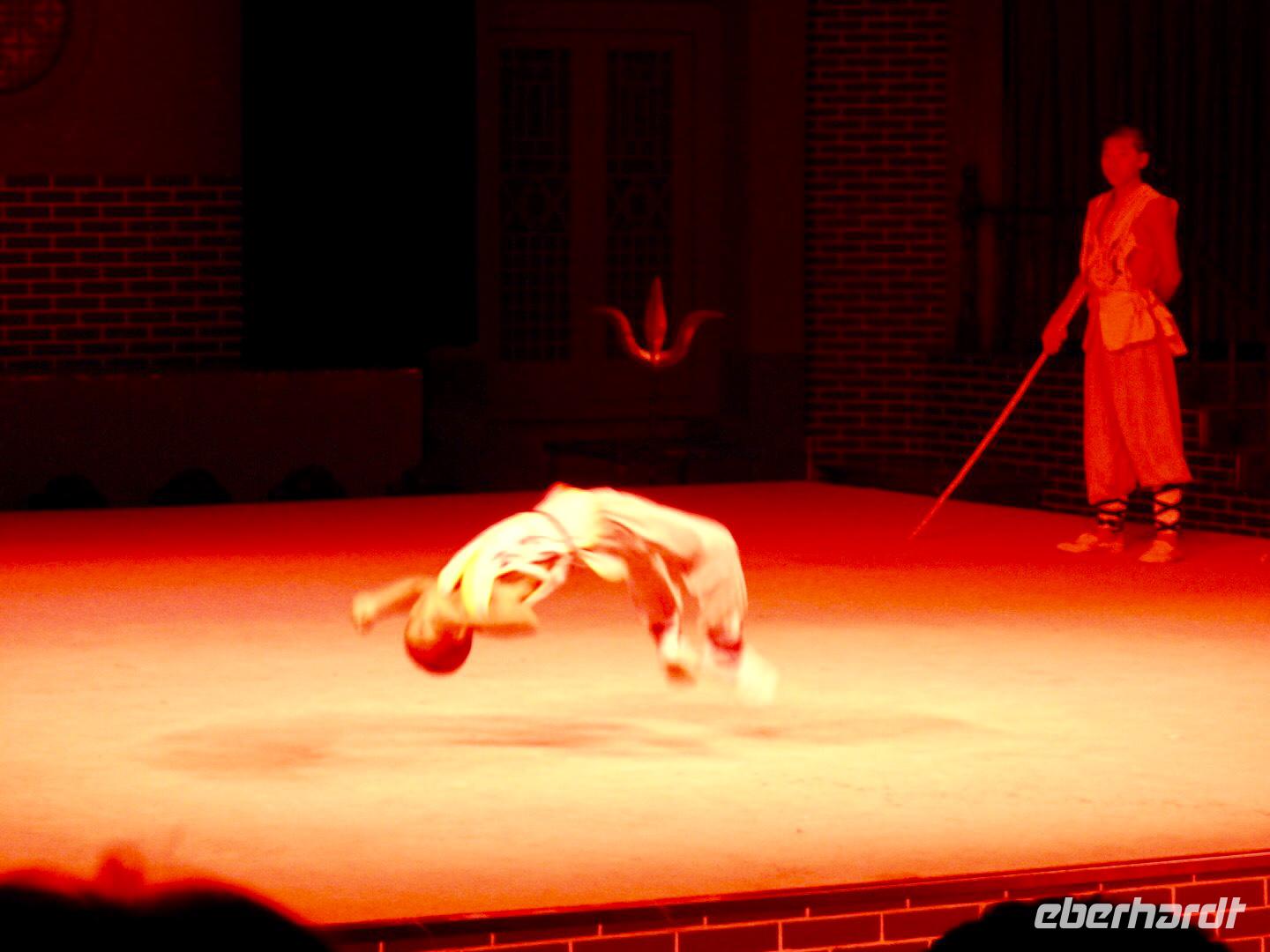 Kung-Fu Show