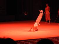 Kung-Fu Show