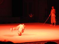 Kung-Fu Show
