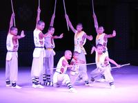 Kung-Fu Show