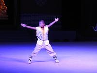 Kung-Fu Show