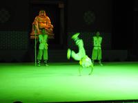 Kung-Fu Show