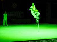 Kung-Fu Show