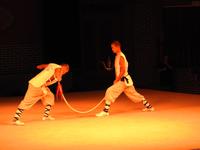 Kung-Fu Show