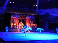 Kung-Fu Show