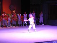 Kung-Fu Show