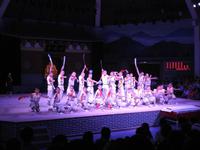 Kung-Fu Show