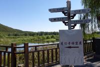 Longmen Grotten (4)