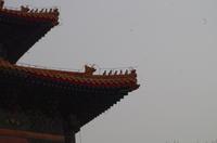 Ming-Gräber - Heilige Allee