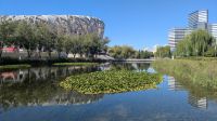 Olympiapark