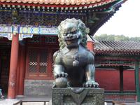 Peking 