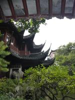 Shanghai (10)