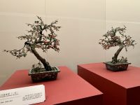 Shanghai Museum