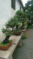 Suzhou, Garten des Meisters der Netze