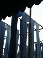 Wuzhen (11)