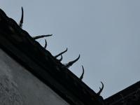 Wuzhen (24)