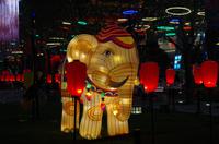 Xi'an - Lichterfahrt