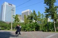 Xi'an_Taiji (3)