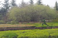 Zhengzhou