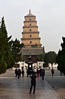 _MG_3522