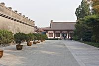 _MG_3536