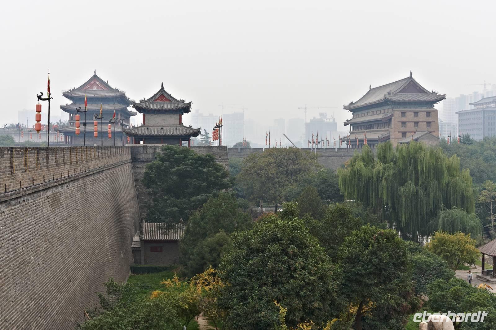 _MG_3671