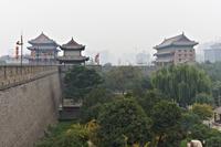 _MG_3671