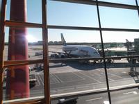 unser A 380 in Frankfurt