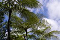 La Paz Waterfall Gardens