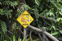 La Paz Waterfall Gardens