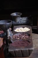 La Paz Waterfall Gardens