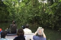 Tortuguero-Nationalpark