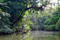 Tortuguero-Nationalpark