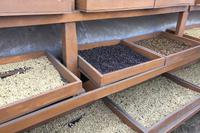 Kaffee-, Kakao- und Zuckerrohrtour