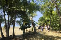 Marino Ballena Nationalpark