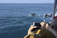 Marino Ballena Nationalpark